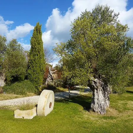 Guest house Isola Verde Orvieto