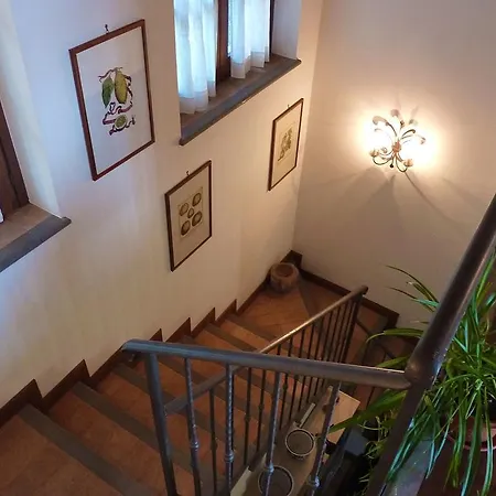 Guest house Isola Verde Orvieto