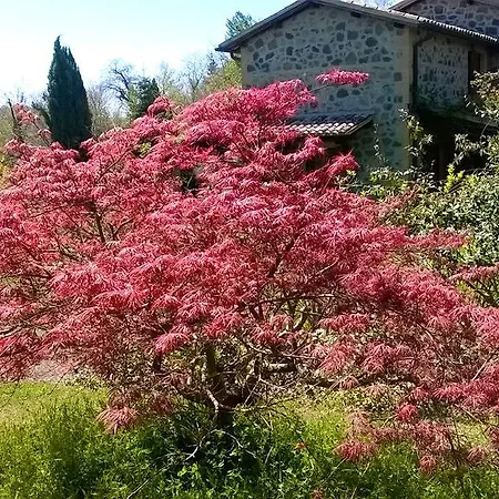 Guest house Isola Verde Orvieto